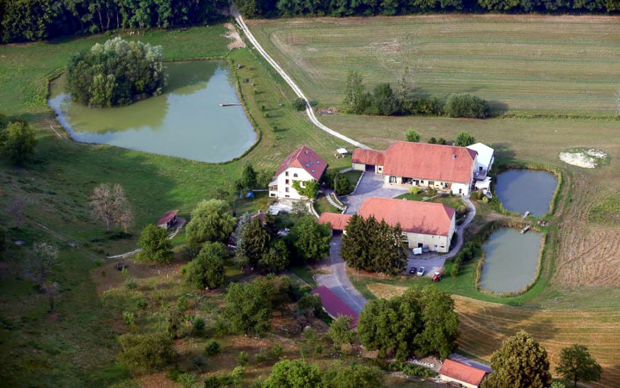 Propriété agricole avec ferme à vendre MONTBÉLIARD - Agence immobilière Arrière-Cour - Spécialiste en immobilier de prestige et de caractère dans le Doubs