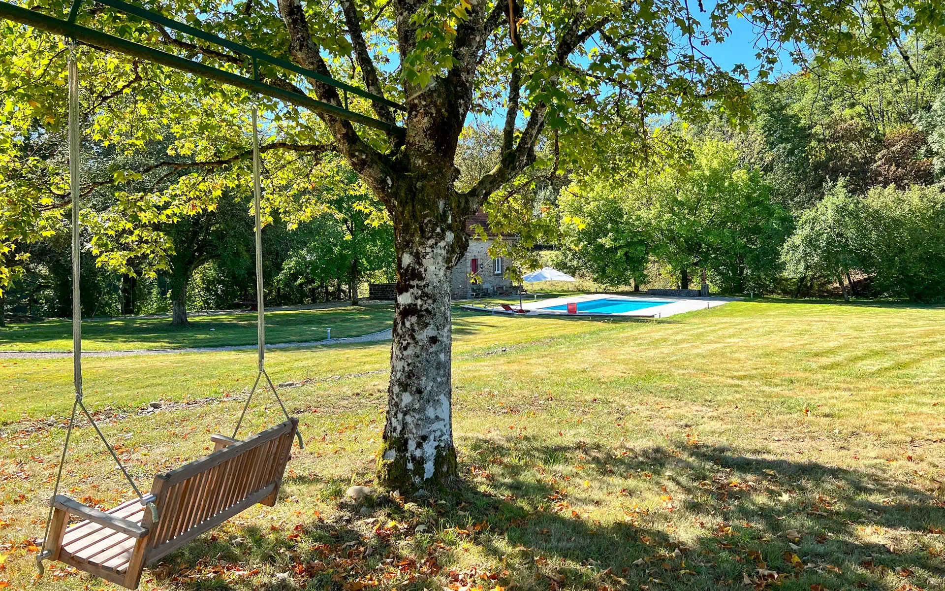 Arbre avec vue piscine de la villa à Saint-sur-Semouse - Arrière-Cour immobilier
