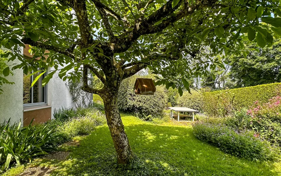 Arbre et nid dans le jardin de l'appartement avec jardin située à Besancon quartier Bregille - Arrière-Cour, agence immobilière spécialisée à Besançon