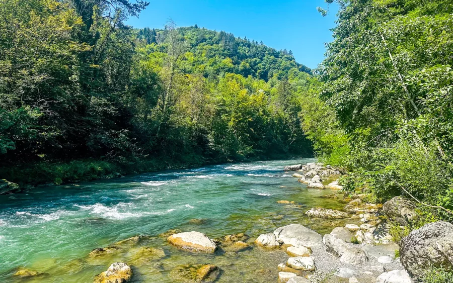 Nature dans la vallée d'abondance à proximité du Chalet avec piscine près de Châtel à vendre - Arrière-Cour, agence immobilière spécialisée en Bourgogne Franche-Comté