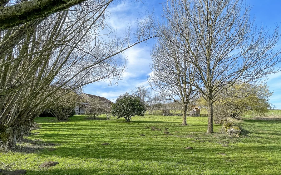 Jardin de la charmante ferme restaurée entre Lure et Vesoul à vendre - Arrière-Cour, agence immobilière spécialisée en Haute-Saône