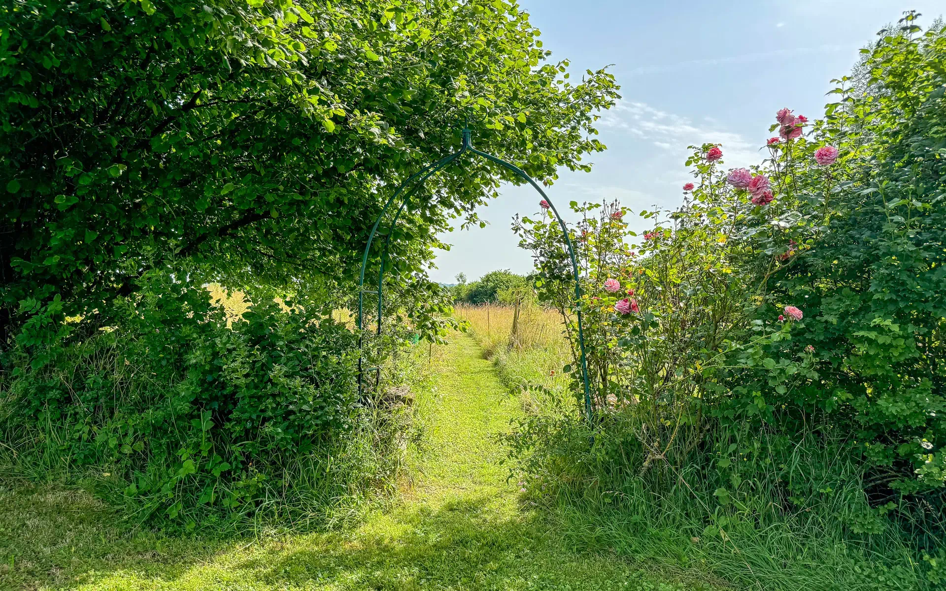 Jardin de la Ferme rénovée à proximité de Vesoul - Arrière-Cour, agence immobilière spécialisée à Vesoul