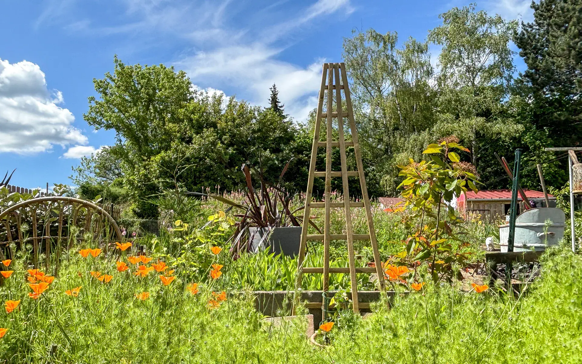 Verdure et ciel bleu de la maison à Dole, Arrière-Cour, agence immobilière spécialisée dans le Jura