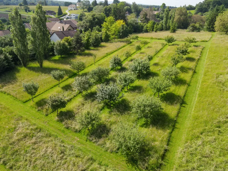 Vue drone du verger du château en Haute-Saône, Arrière-Cour, agence immobilière spécialisée en Haute-Saône