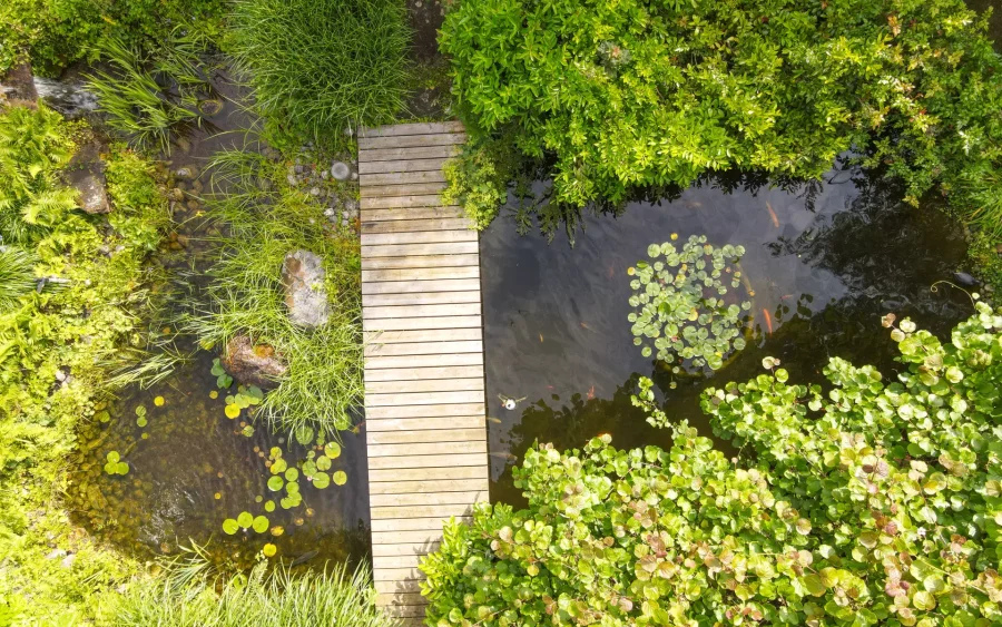 Vue drone de l'étang de la Maison d'architecte proche de Montbéliard - Arrière-Cour, agence immobilière spécialisée dans le Doubs