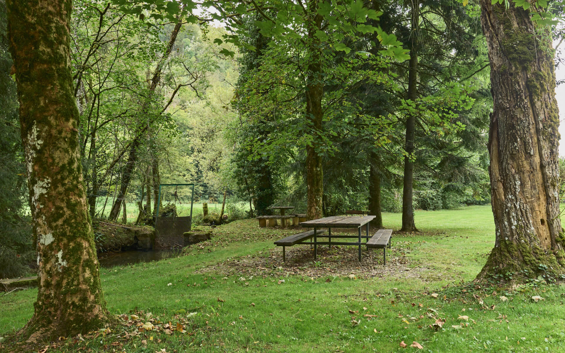 Banc et parc de l'Auberge dans la Vallée de Cusance à vendre - Arrière-Cour, agence immobilière spécialisée en Bourgogne Franche-Comté