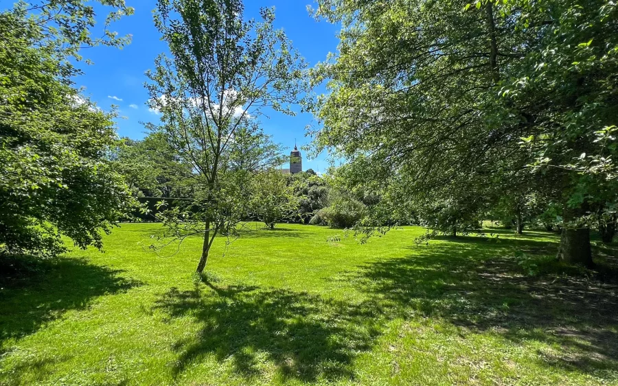 Terrain clos de la maison vigneronne proche d'Arc-et-Senans - Arrière-Cour immobilier, agence immobilière spécialisée dans le Doubs