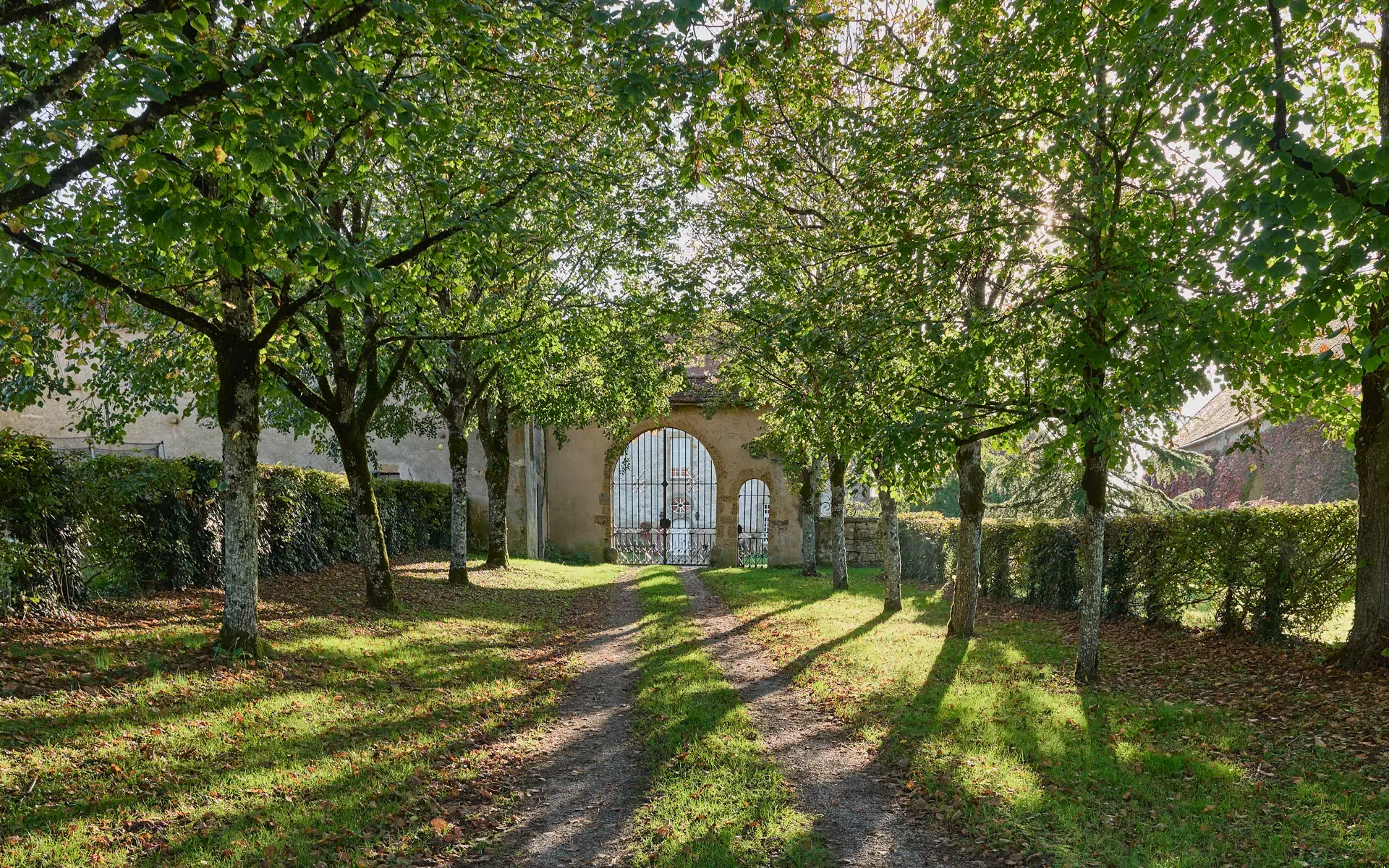 Allée remplie de verdure du Château proche de Corbigny à vendre - Arrière-Cour, agence immobilière spécialisée en Bourgogne Franche-Comté