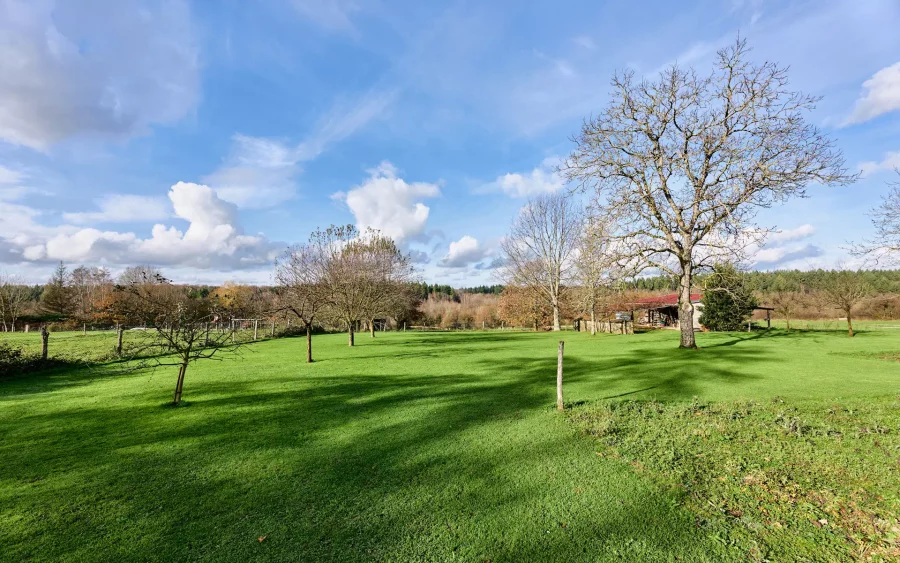 Terrain de la Ferme restaurée à Dampierre à vendre - Arrière-Cour, agence immobilière spécialisée dans le Jura