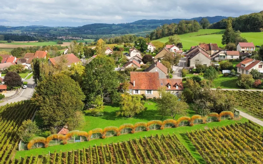 Vue drone de la maison vigneronne à Voiteur à vendre - Arrière-Cour, agence immobilière spécialisée dans le Jura