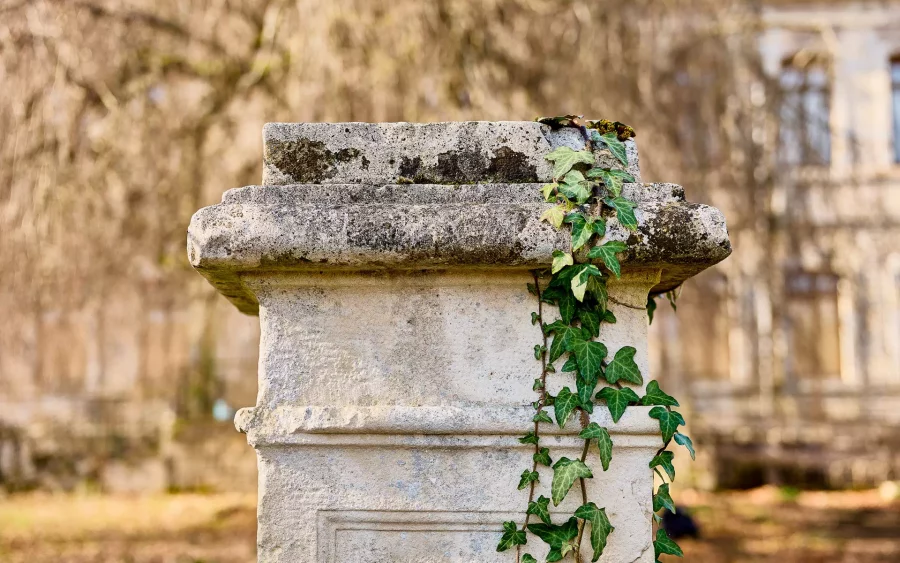 Colonne du Château de Fraisans - Arrière-Cour, agence immobilière spécialisée dans le Jura