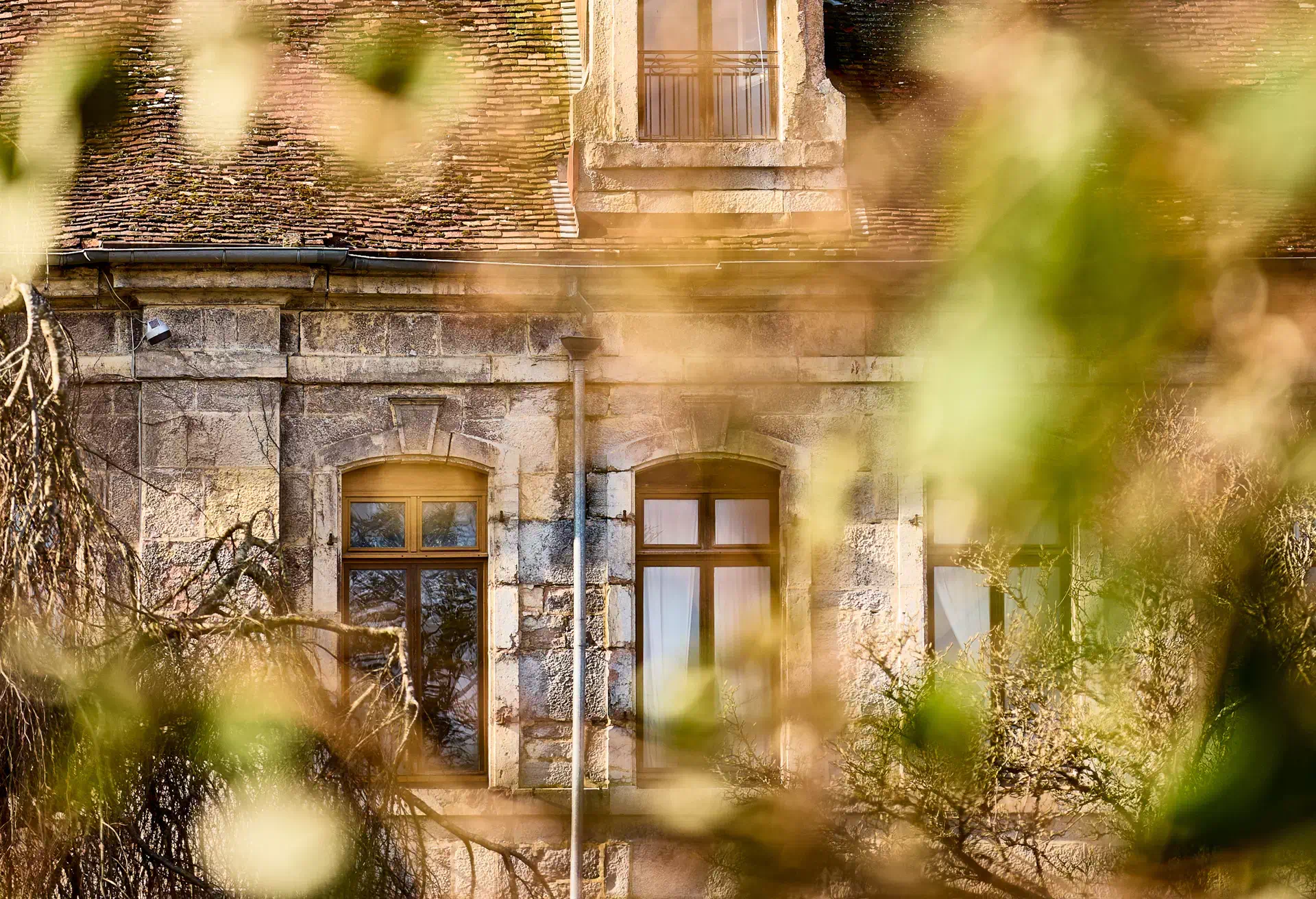 Fenêtres et feuilles du Château de Fraisans - Arrière-Cour, agence immobilière spécialisée dans le Jura
