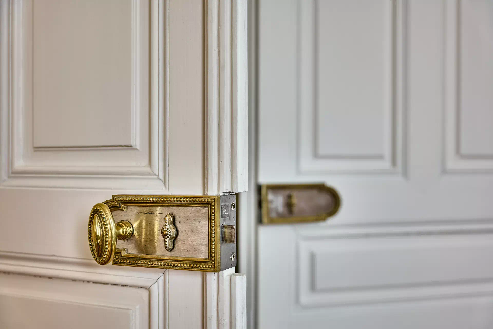 Poignée de caractère dans la maison bourgeoise à Luxeuil-les-Bains- Arrière-Cour, agence immobilière spécialisée dans Luxeuil-les-Bains