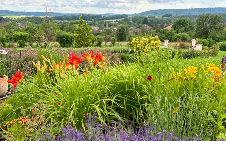 Terrain et verdure de la maison d’architecte à Melay à vendre - Arrière-Cour, agence immobilière spécialisée en Haute-Marne