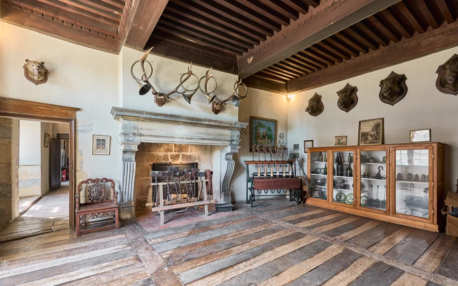 Autre salle - le château de Filain à vendre - Arrière-Cour, agence immobilière spécialisée dans en Haute-Saône