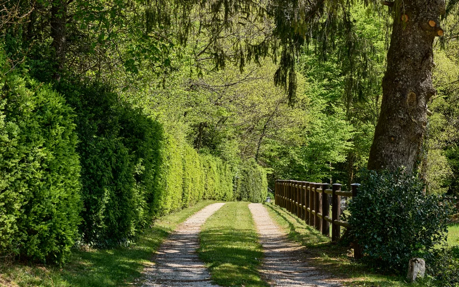 Chemin de la maison avec chambres d’hôtes à Martigna à vendre - Arrière-Cour, agence immobilière spécialisée dans le Jura