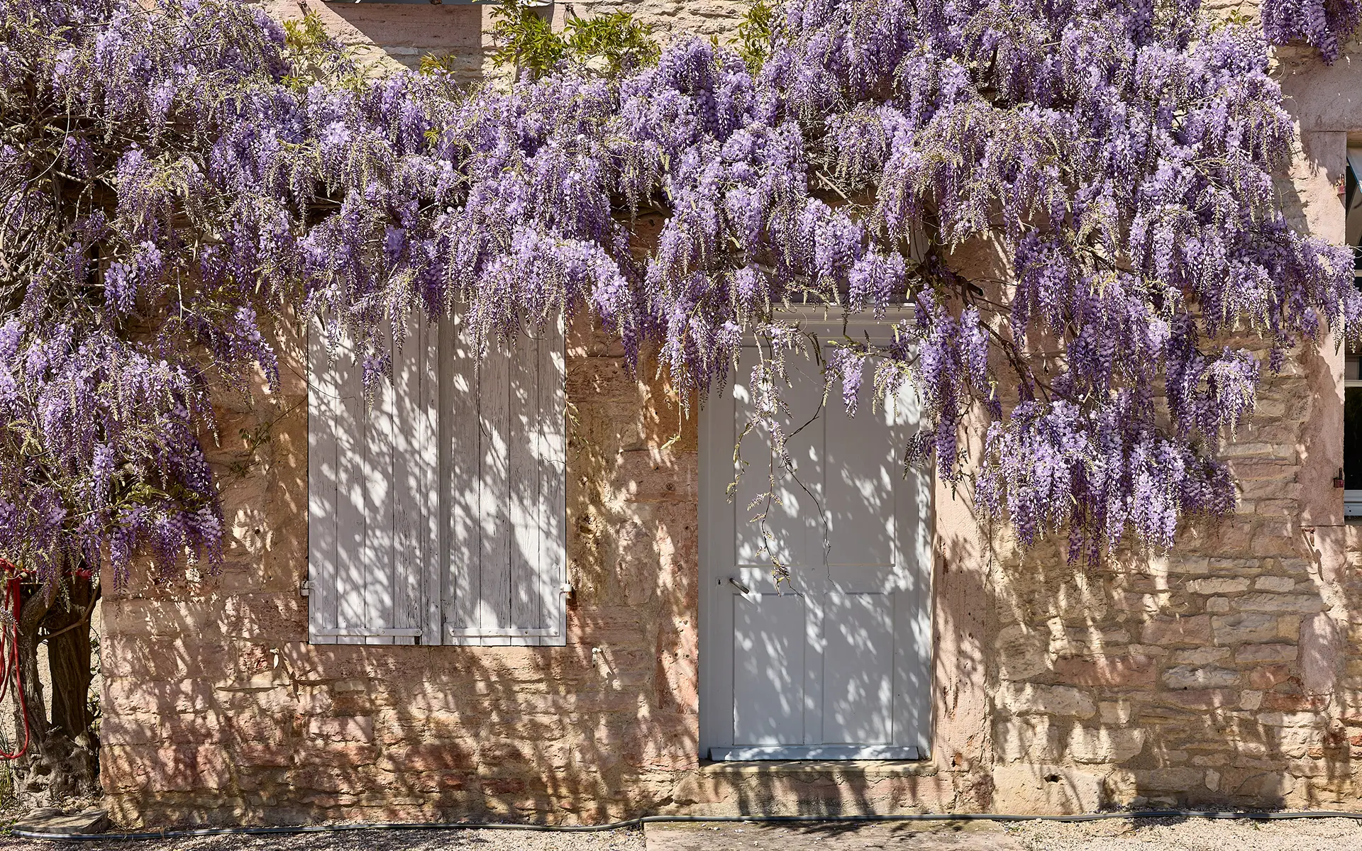 Façade fleurie - domaine de caractère à Givry à vendre - Arrière-Cour, agence immobilière spécialisée en Saône-et-Loire