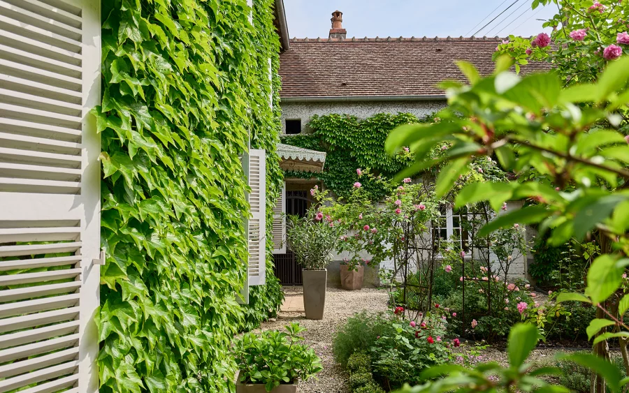 Feuillage de la façade de la demeure de prestige à Dampierre-sur-Salon à vendre - Arrière-Cour, agence immobilière spécialisée en Haute-Saône
