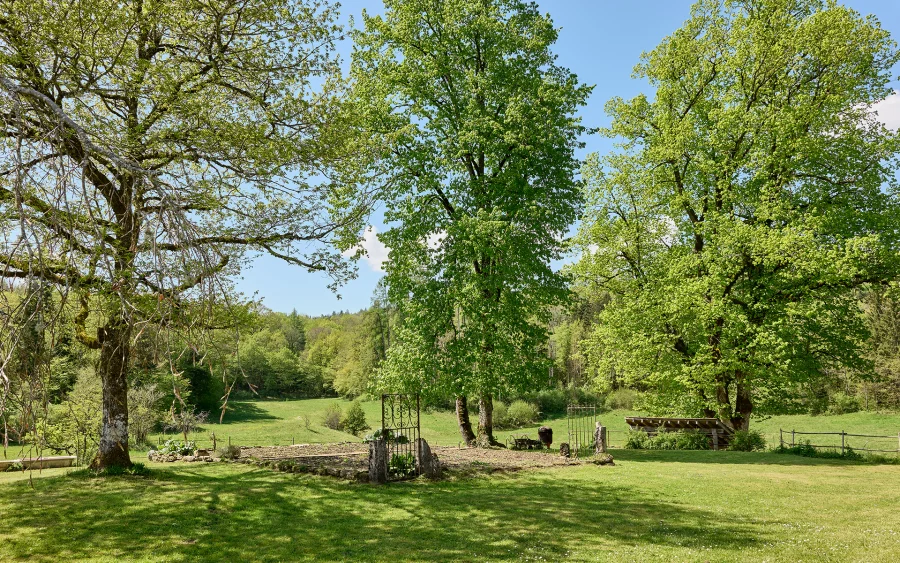 Jardin de la maison avec chambres d’hôtes à Martigna à vendre - Arrière-Cour, agence immobilière spécialisée dans le Jura
