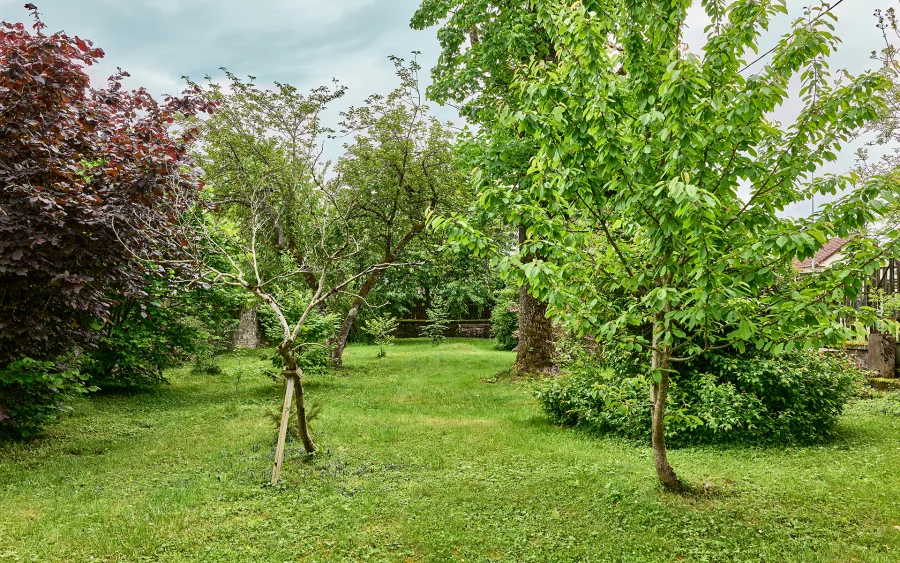 Jardin de la maison de maître à Lure à vendre - Arrière-Cour, agence immobilière spécialisée en Haute-Saône