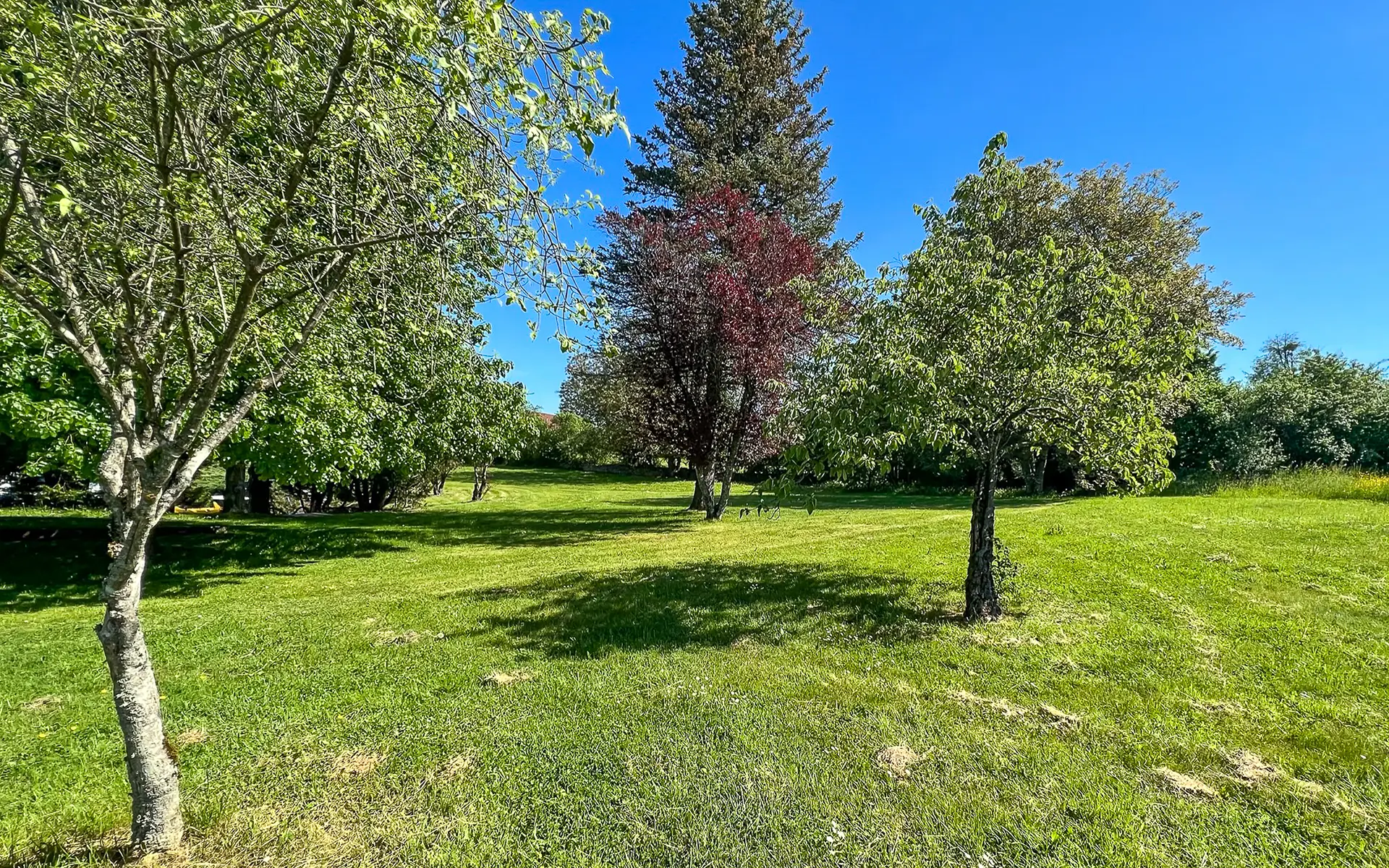Jardin de la villa d'architecte à Arcey à vendre - Arrière-Cour, agence immobilière spécialisée dans le Doubs
