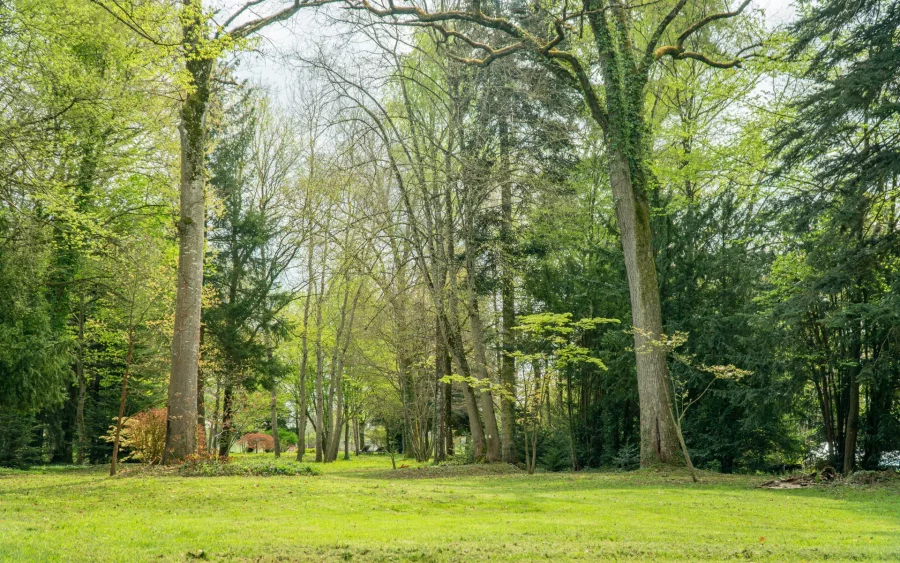 Parc du Château à Pexonne à vendre - Arrière-Cour, agence immobilière spécialisée dans les Vosges