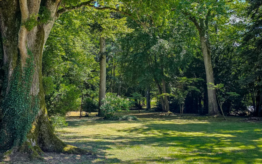 Parc de la maison de maître à Pexonne à vendre - Arrière-Cour, agence immobilière spécialisée dans les Vosges