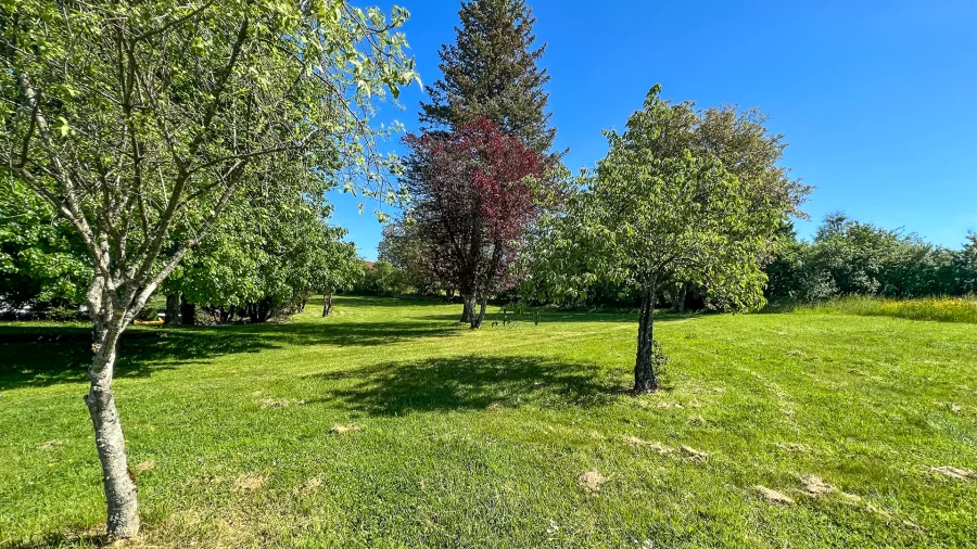 Terrain - Villa d'architecte à Arcey à vendre - Arrière-Cour, agence immobilière spécialisée dans le Doubs