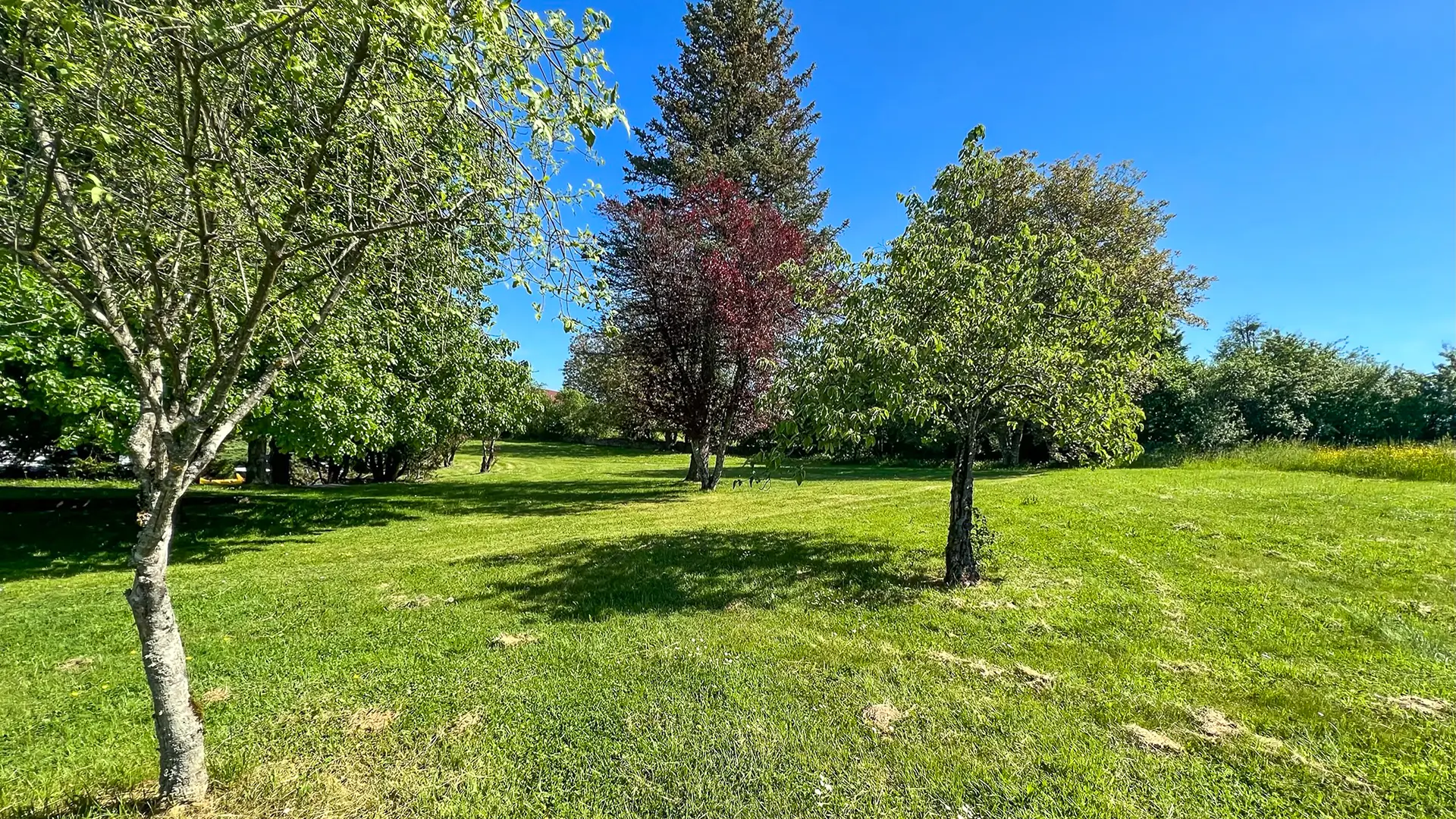 Terrain - Villa d'architecte à Arcey à vendre - Arrière-Cour, agence immobilière spécialisée dans le Doubs