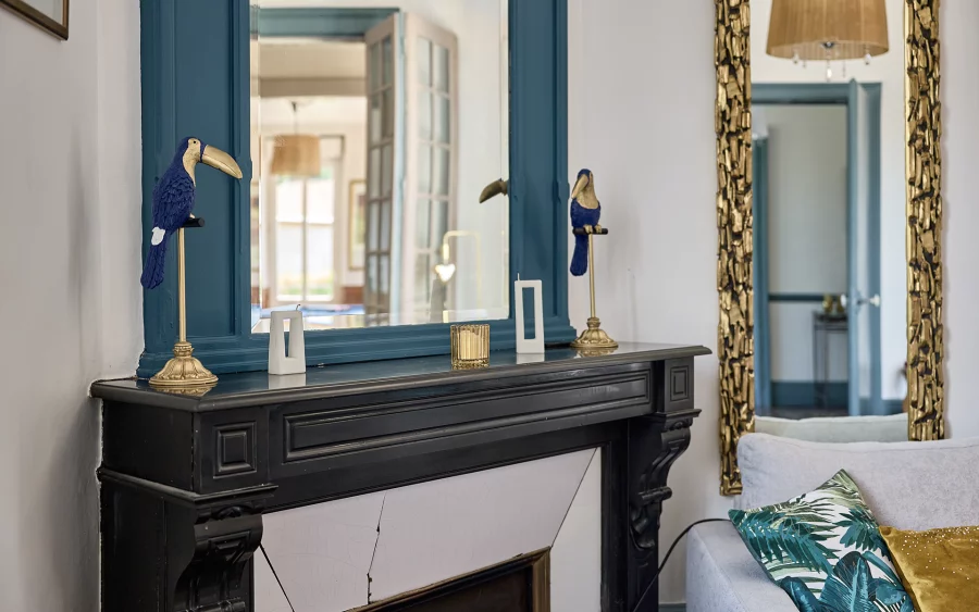 Cheminée de la maison de maître à Fougerolles à vendre - Arrière-Cour, agence immobilière spécialisée en Haute-Saône