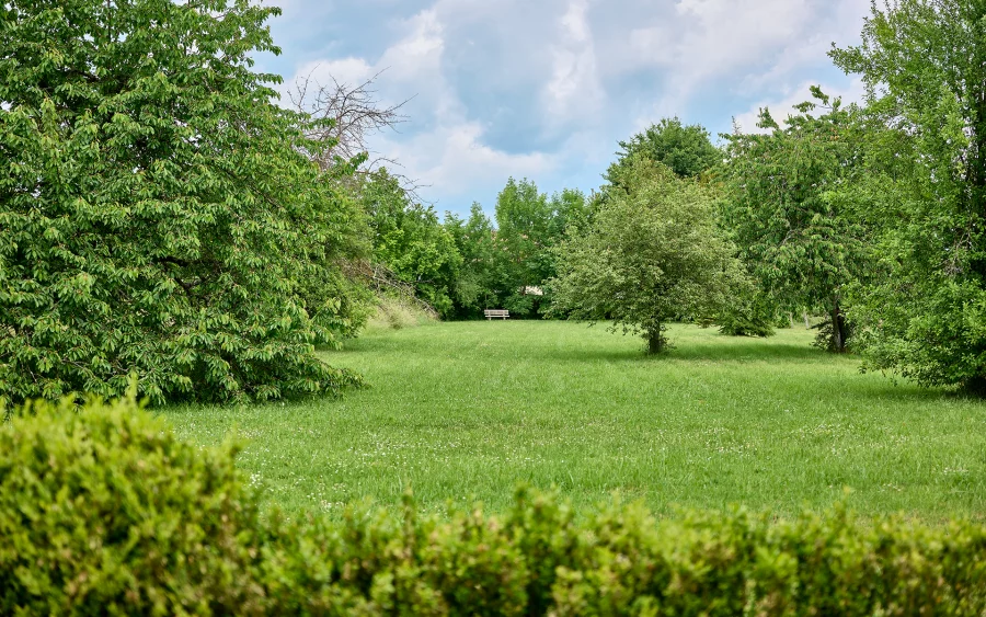 Jardin du château à Volon à vendre - Arrière-Cour, agence immobilière spécialisée en Haute-Saône