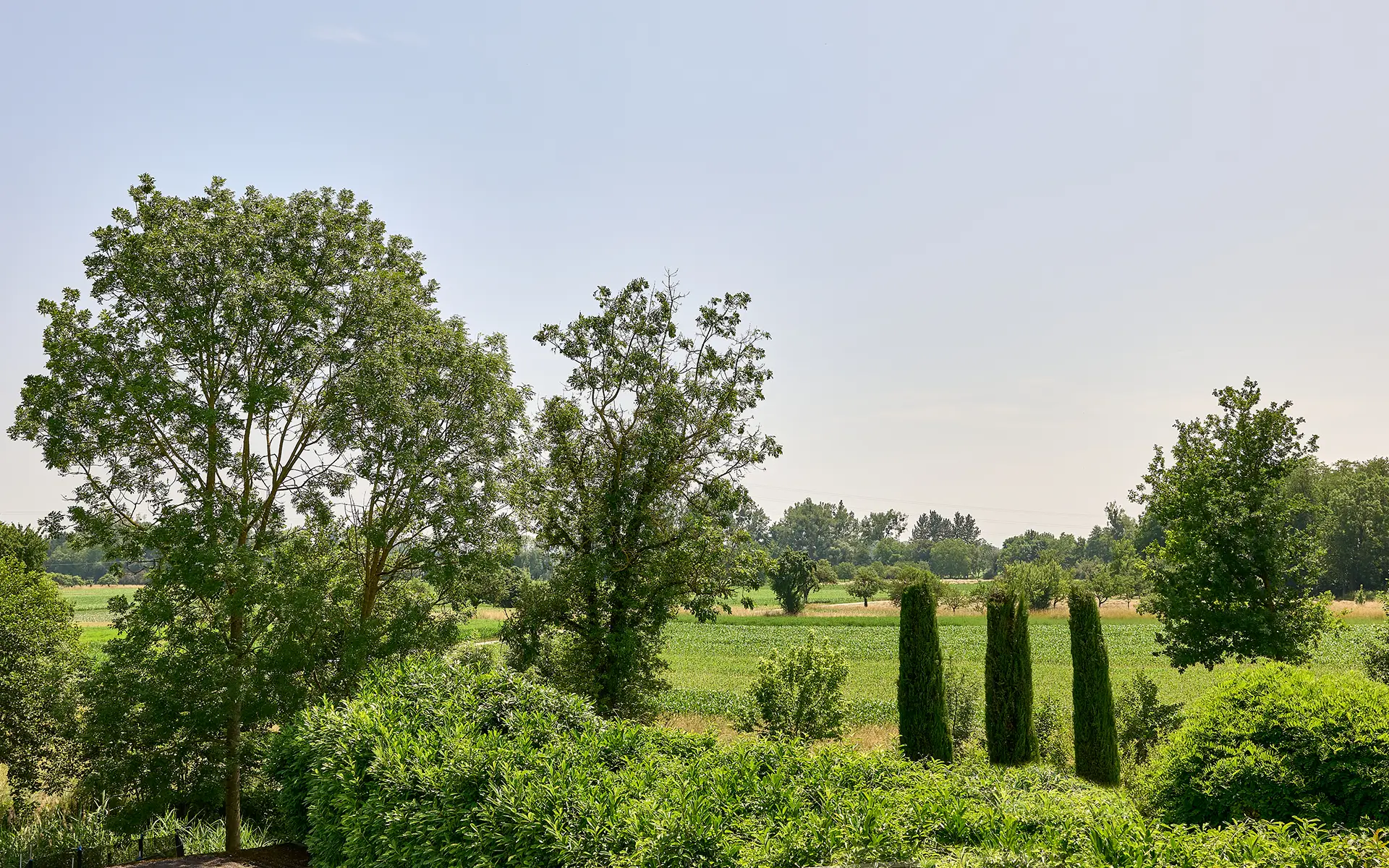 Jardin de la maison d'architecte aux portes de Strasbourg à vendre - Arrière-Cour, agence immobilière spécialisée en Alsace