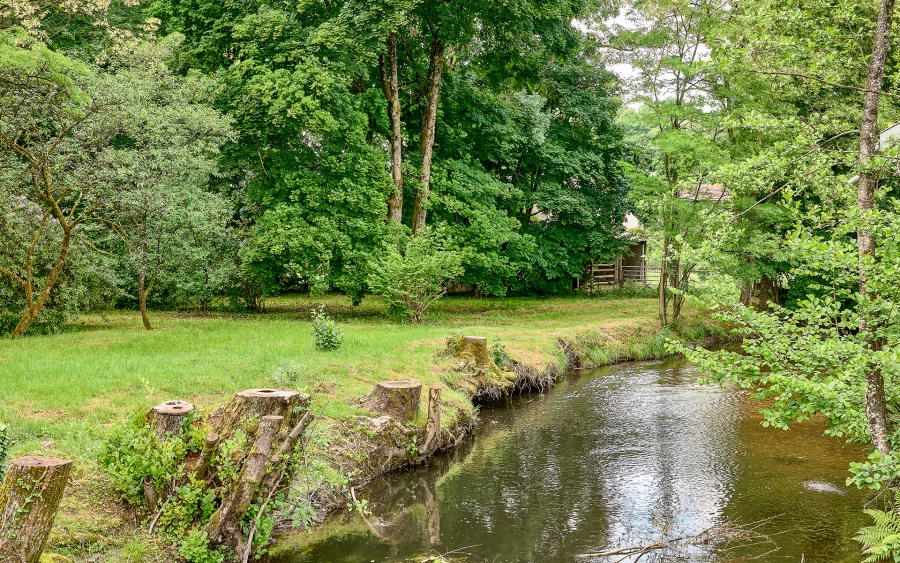 Jardin de la maison de maître à Fougerolles à vendre - Arrière-Cour, agence immobilière spécialisée en Haute-Saône