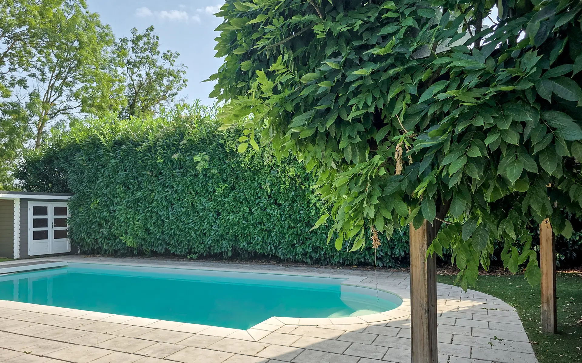 Piscine de la maison d'architecte aux portes de Strasbourg à vendre - Arrière-Cour, agence immobilière spécialisée en Alsace