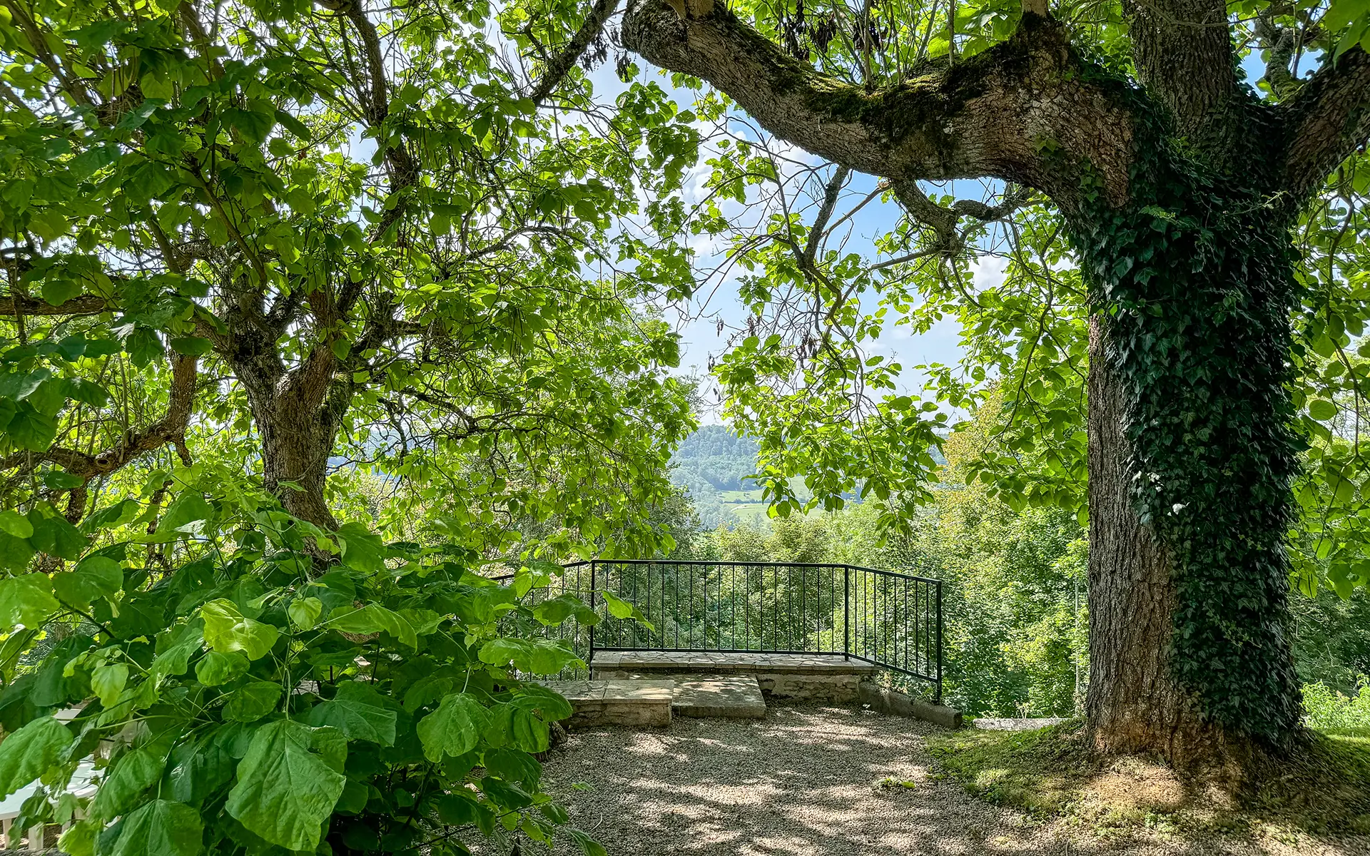 Végétation de la maison d'architecte en Haute-Marne à vendre - Arrière-Cour, agence immobilière spécialisée en Haute-Marne