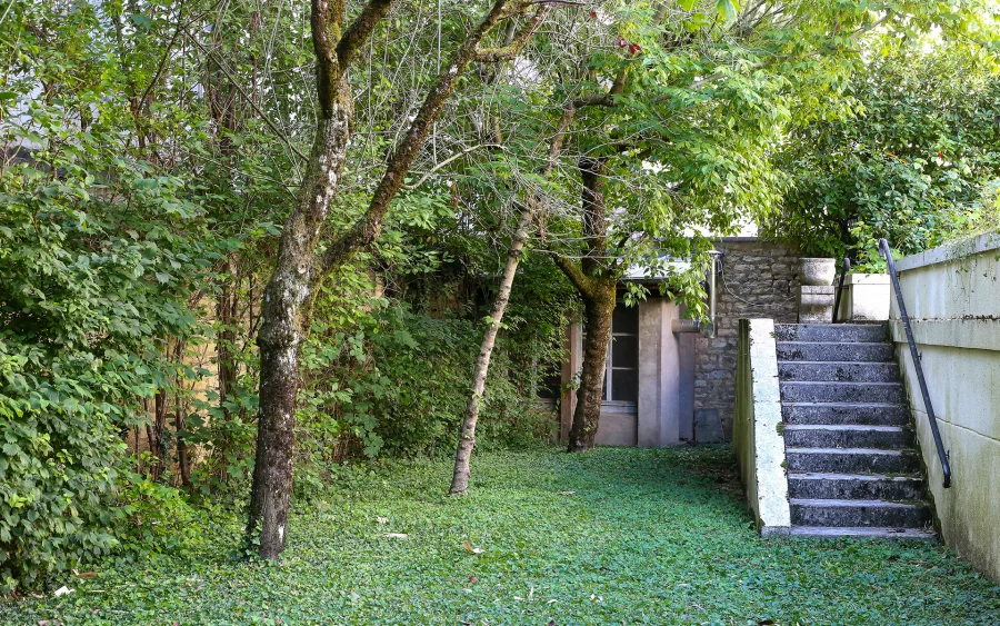 Verdure de l'appartement ancien rénové au centre historique de Besançon à vendre - Arrière-Cour, agence immobilière spécialisée dans le Doubs
