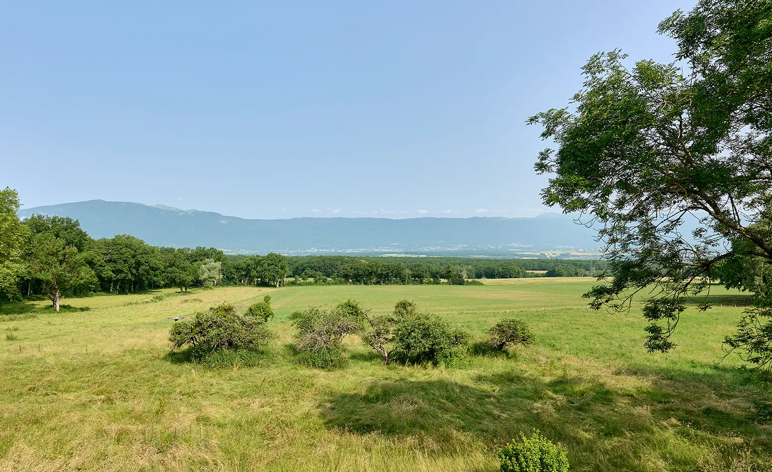Vue du château d'exception en Haute-Savoie à vendre - Arrière-Cour, agence immobilière spécialisée en Haute-Savoie