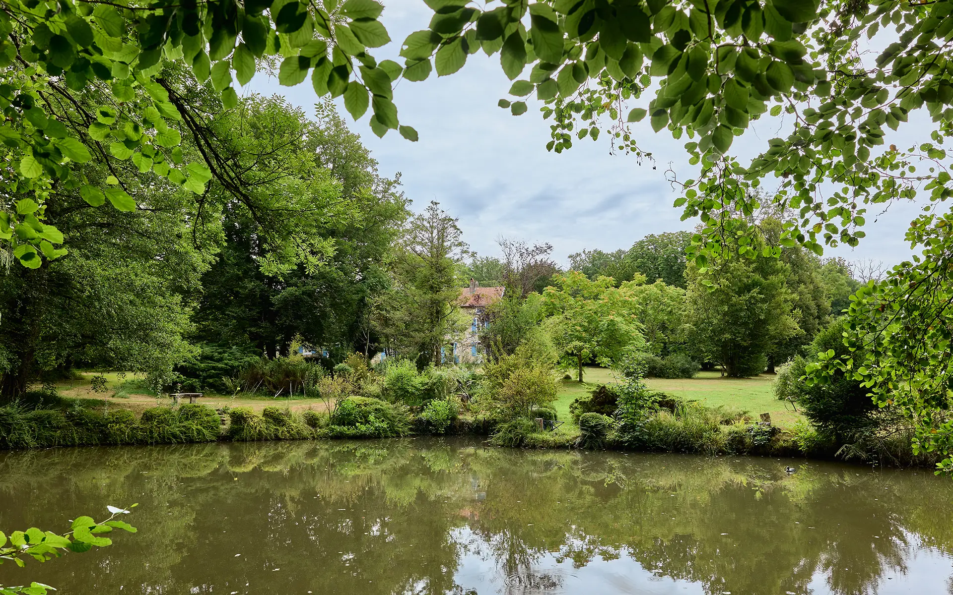 Étang de la maison ancienne à Igny à vendre - Arrière-Cour, agence immobilière spécialisée en Haute-Saône