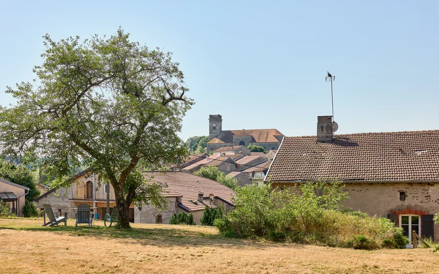 Jardin de la maison de charme à Passavant la Rochère à vendre - Arrière-Cour, agence immobilière spécialisée en Haute-Saône