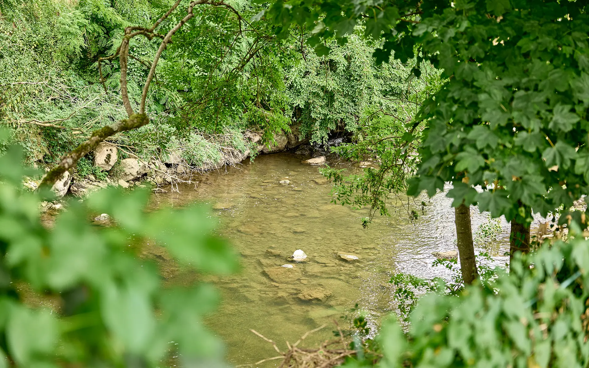 Point d'eau de la maison de maître en Haute-Saône à vendre - Arrière-Cour, agence immobilière spécialisée en Haute-Saône