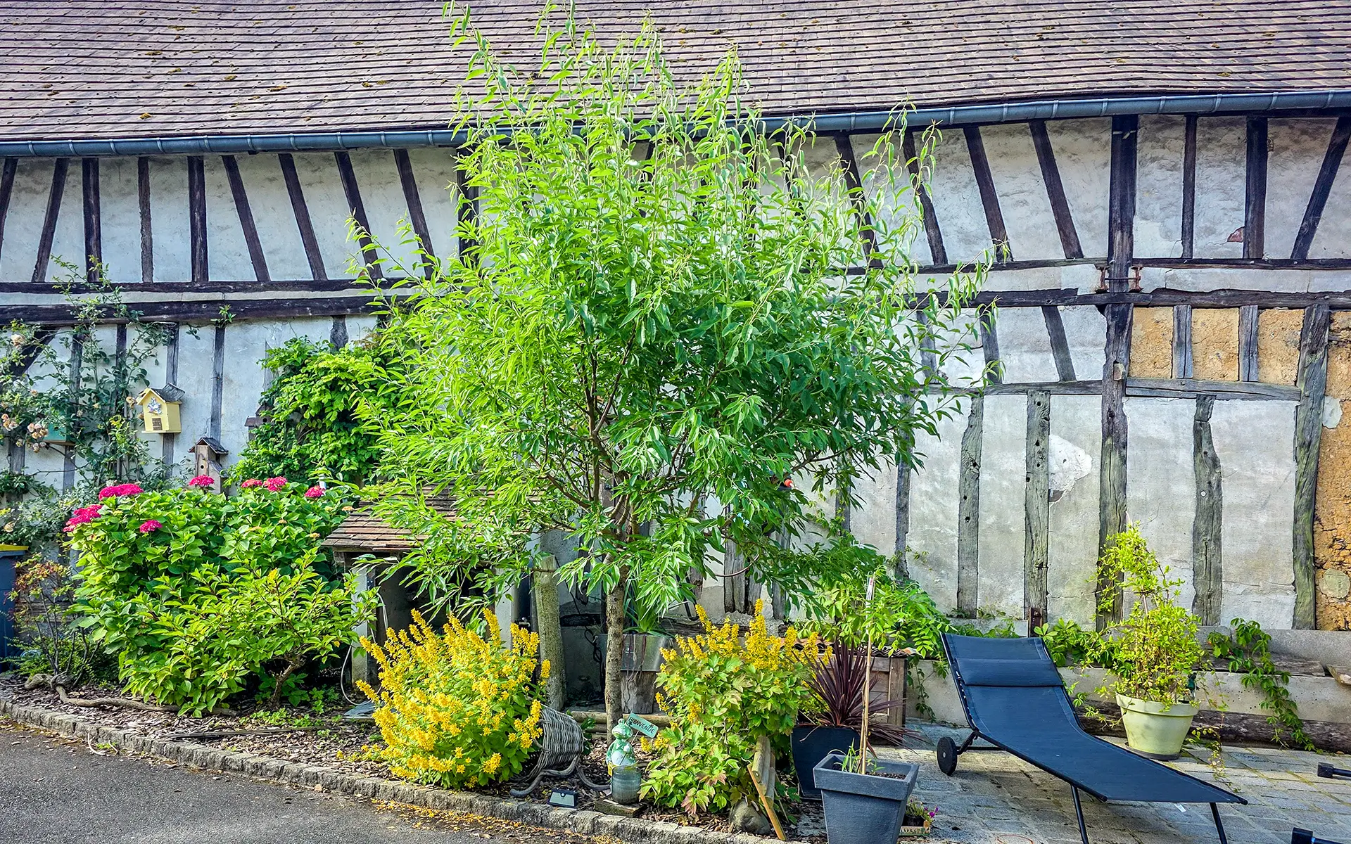 Dépendance et nature de la maison de village avec grange rénovée dans l'Oise à vendre - Arrière-Cour, agence immobilière spécialisée dans l'Oise