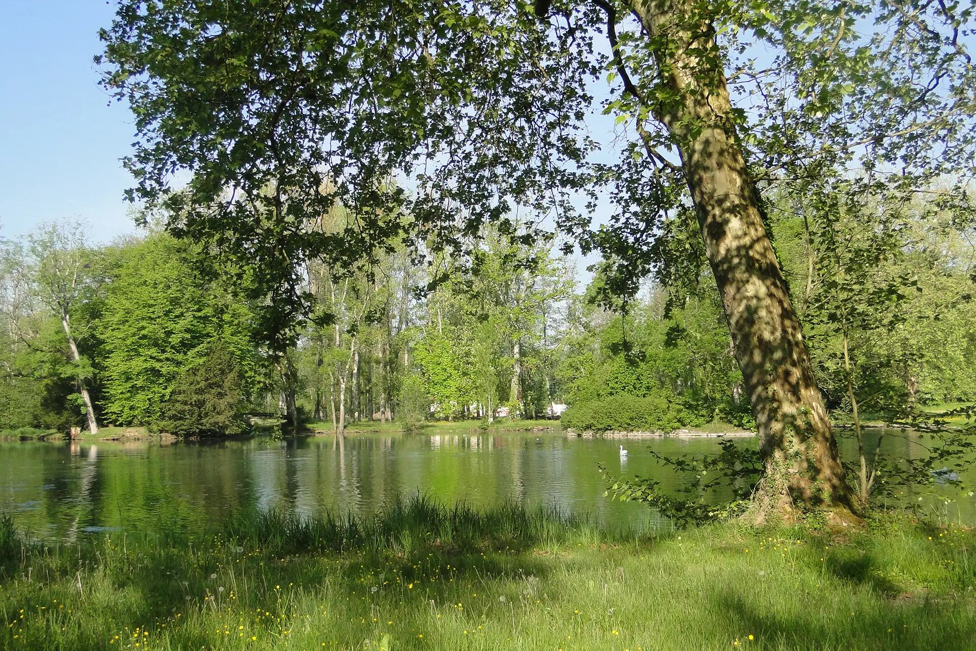 Étang du grand terrain en bordure de rivière à Diénay dans un domaine privé à vendre - Arrière-Cour, agence immobilière spécialisée dans le Doubs