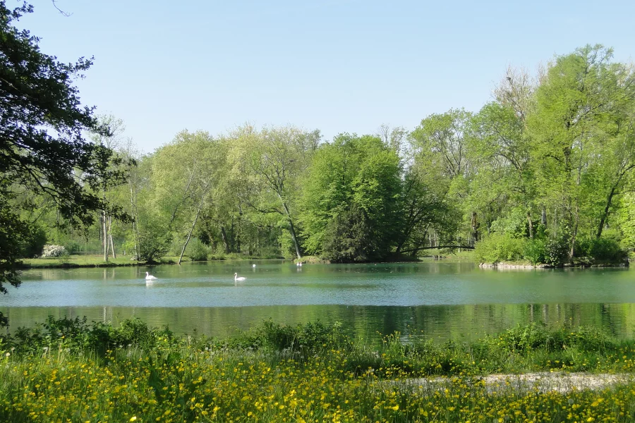 Étang lumineux du grand terrain en bordure de rivière à Diénay dans un domaine privé à vendre - Arrière-Cour, agence immobilière spécialisée dans le Doubs