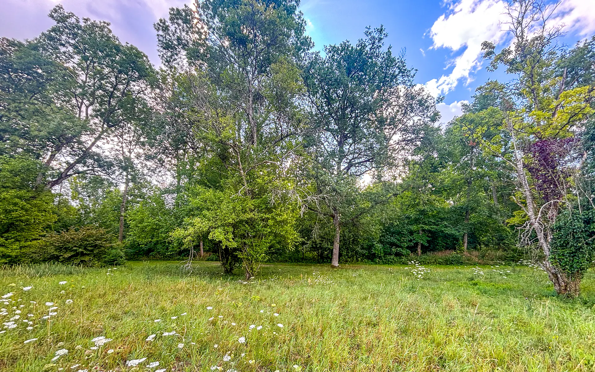 Nature du grand terrain en bordure de rivière à Diénay dans un domaine privé à vendre - Arrière-Cour, agence immobilière spécialisée dans le Doubs