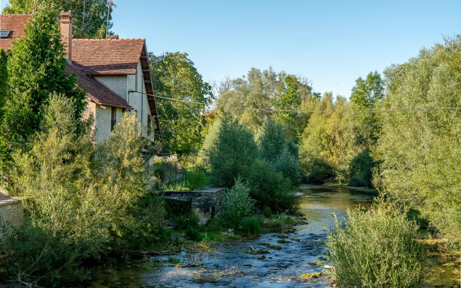 Rivière du manoir proche de Chaumont à vendre - Arrière-Cour, agence immobilière spécialisée en Haute-Marne