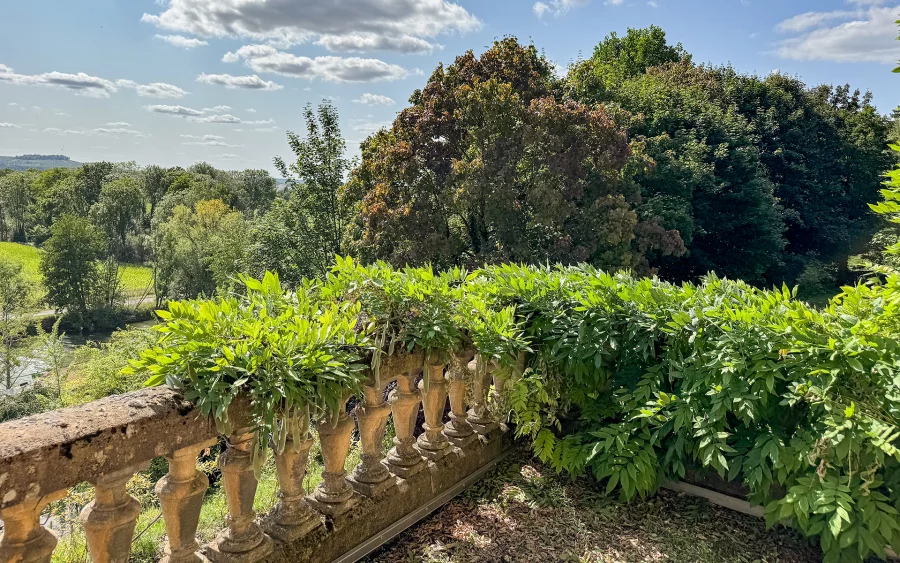 Terrasse de la maison de maître proche Sedan à vendre - Arrière-Cour, agence immobilière spécialisée dans les Ardennes