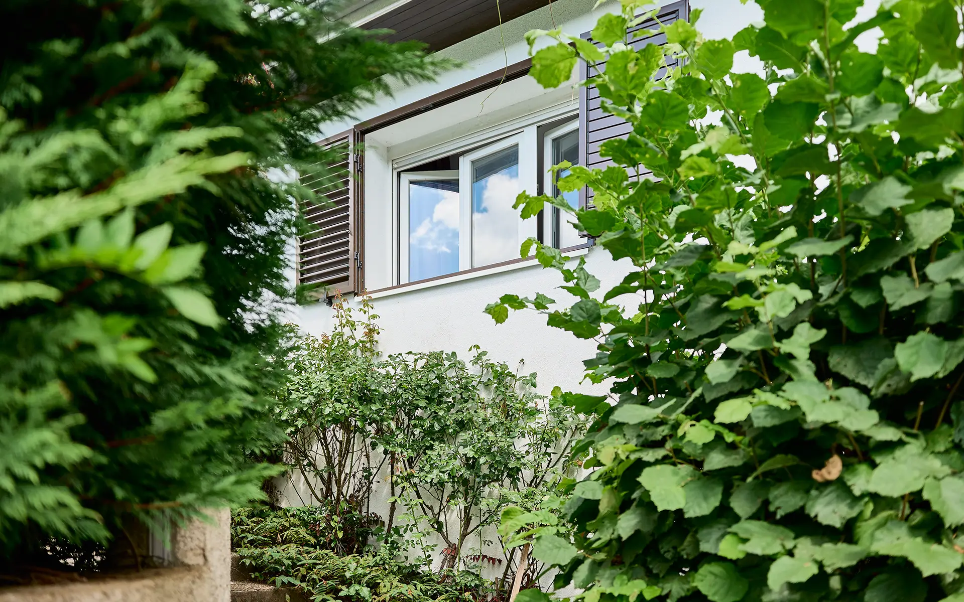 Verdure et façade de la maison avec piscine dans le quartier Velotte à Besançon à vendre - Arrière-Cour, agence immobilière spécialisée dans le Doubs