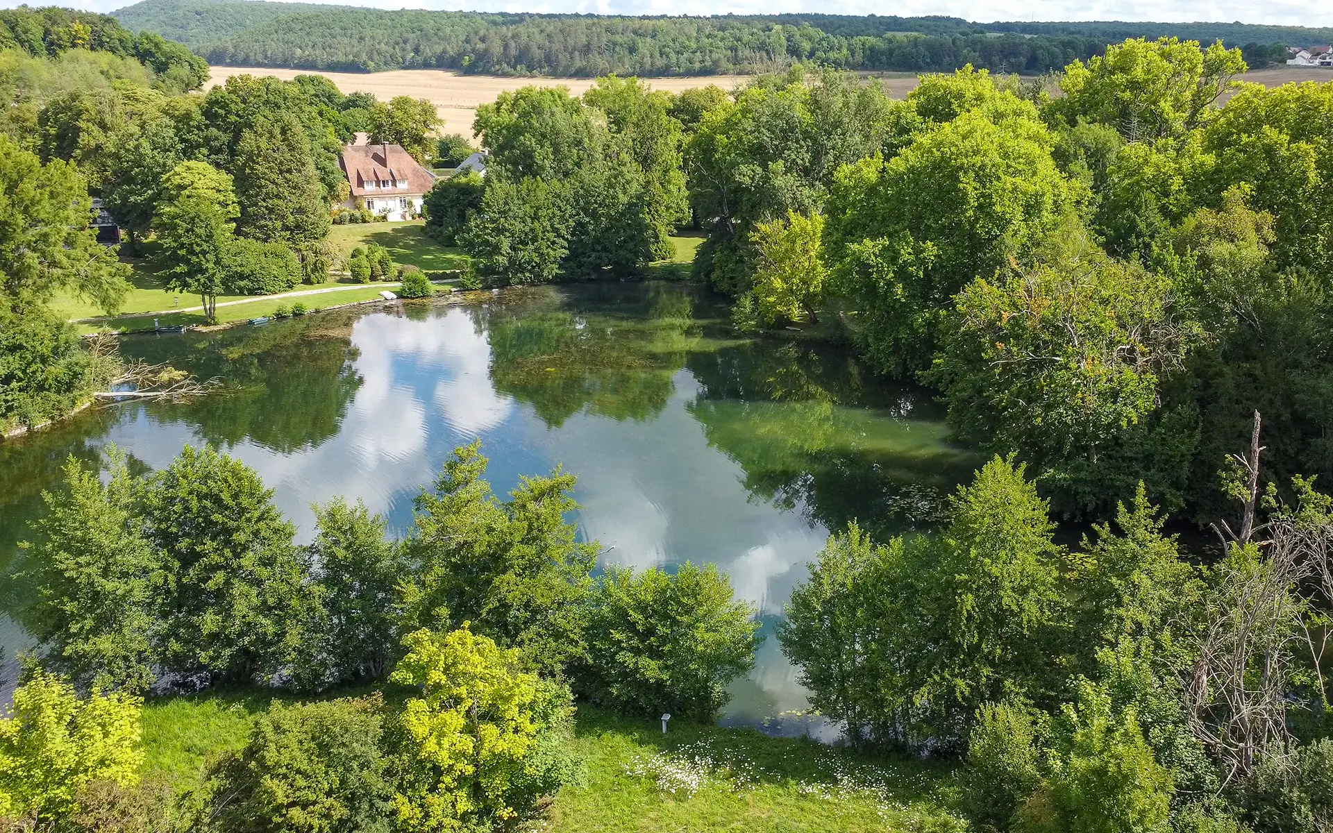 Vue de l'étang du grand terrain en bordure de rivière à Diénay dans un domaine privé à vendre - Arrière-Cour, agence immobilière spécialisée dans le Doubs