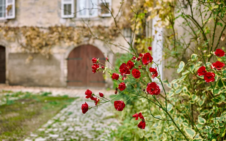 Cours de la maison de maître à Baume-les-Dames à vendre - Arrière-Cour, agence immobilière spécialisée dans le Doubs