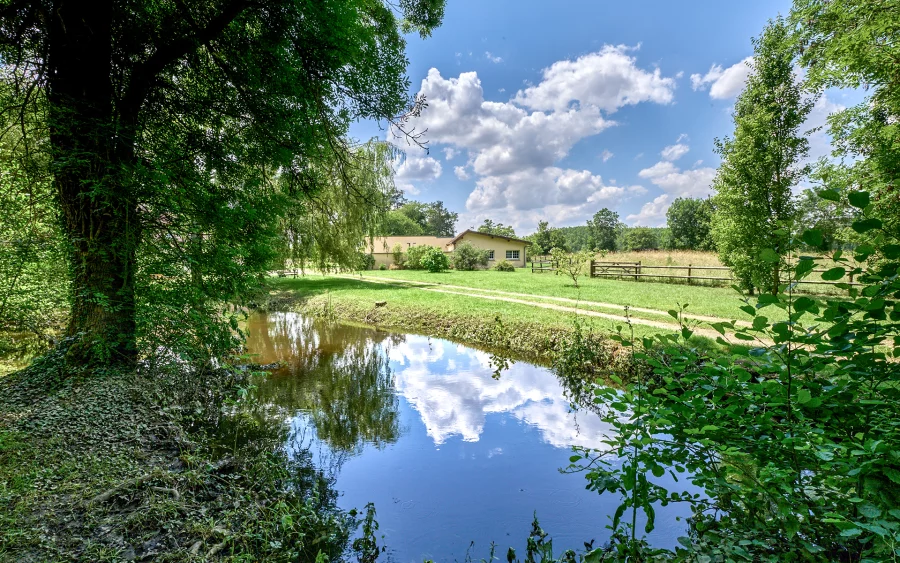Rivière du moulin proche de Sancerre à vendre - Arrière-Cour, agence immobilière spécialisée dans le Cher